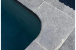 Terato Buitenhoek Asian Blue Afgeronde Neus 7 Terato Buitenhoek Asian Blue Afgeronde Neus -Hayarders Winkel terato buitenhoek asian blue afgeronde neus 3