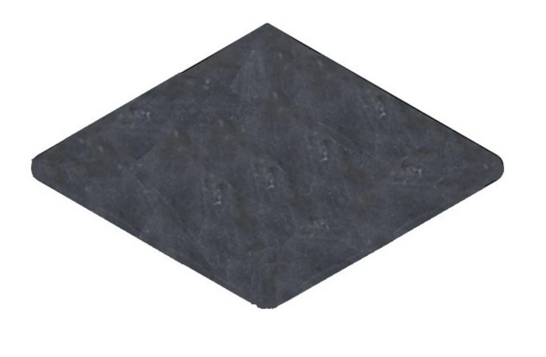 Terato Buitenhoek Asian Blue Afgeronde Neus 1 Terato Buitenhoek Asian Blue Afgeronde Neus